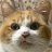 CatsGotANoseBleed